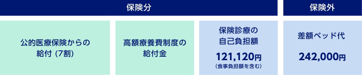 保険分 公的医療保険からの給付(7割) 高額療養費制度の給付金 保険診療の自己負担額121,120円(食事負担額を含む) 保険外 差額ベッド代242,000円