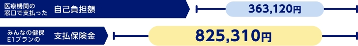 医療費の自己負担額363,120円 支払保険金825,310円