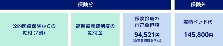保険分 公的医療保険からの給付(7割) 高額療養費制度の給付金 保険診療の自己負担額94,521円(食事負担額を含む) 保険外 差額ベッド代145,800円